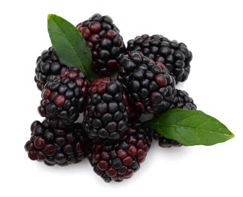 Fresh locally sourced blackberries for The Complex Bean - Coffee Bar and Bakery