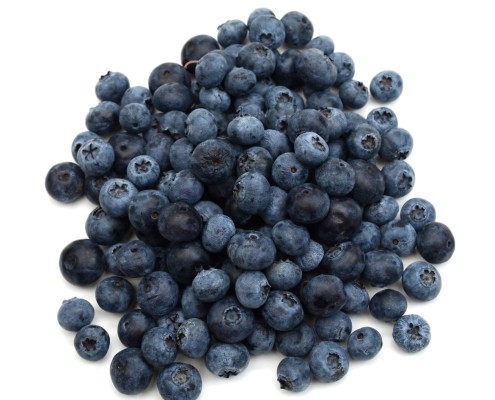 Fresh blueberries for The Complex Bean - Coffee Bar and Bakery